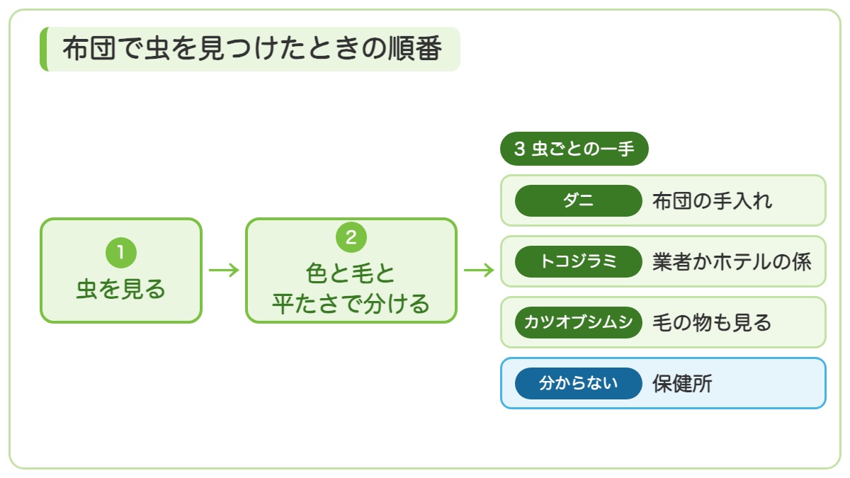 布団で虫を見つけたら虫を見て色と毛と平たさで分け虫ごとの一手に進む順番を示す図