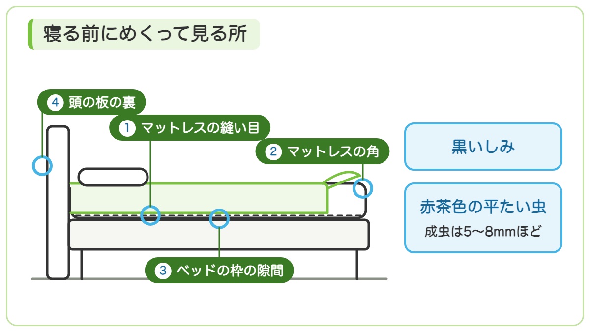 横から見たベッドでマットレスの縫い目とマットレスの角とベッドの枠の隙間と頭の板の裏に印を付け黒いしみと赤茶色の平たい虫を目印に示す図