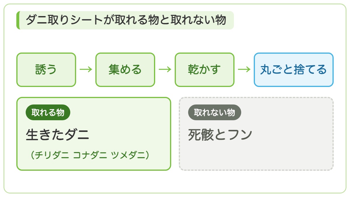 ダニ取りシートは誘って集めて乾かして丸ごと捨てる物で生きたダニは取れて死骸とフンは取れないことを示す図