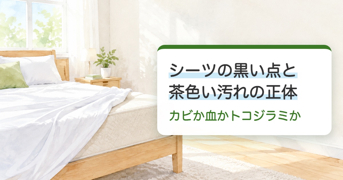 シーツの黒い点と茶色い汚れの正体の題を載せた明るい朝の寝室でシーツが角から半分外れたマットレスの絵