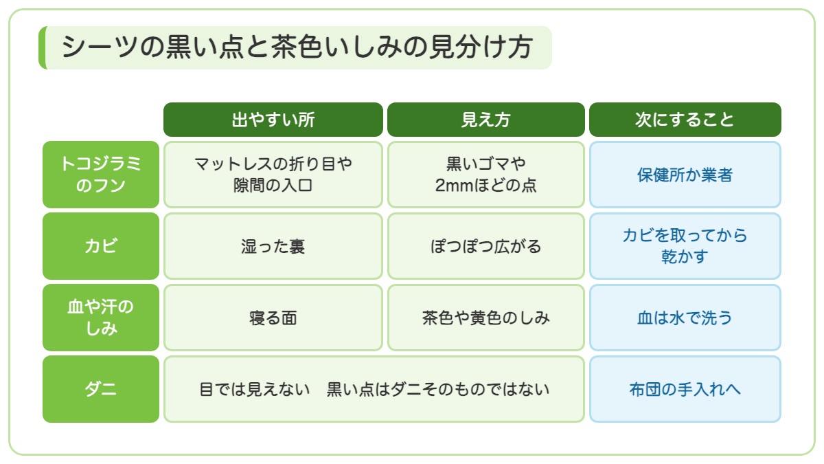 トコジラミのフンとカビと血や汗のしみとダニを出やすい所と見え方と次にすることで見分ける表