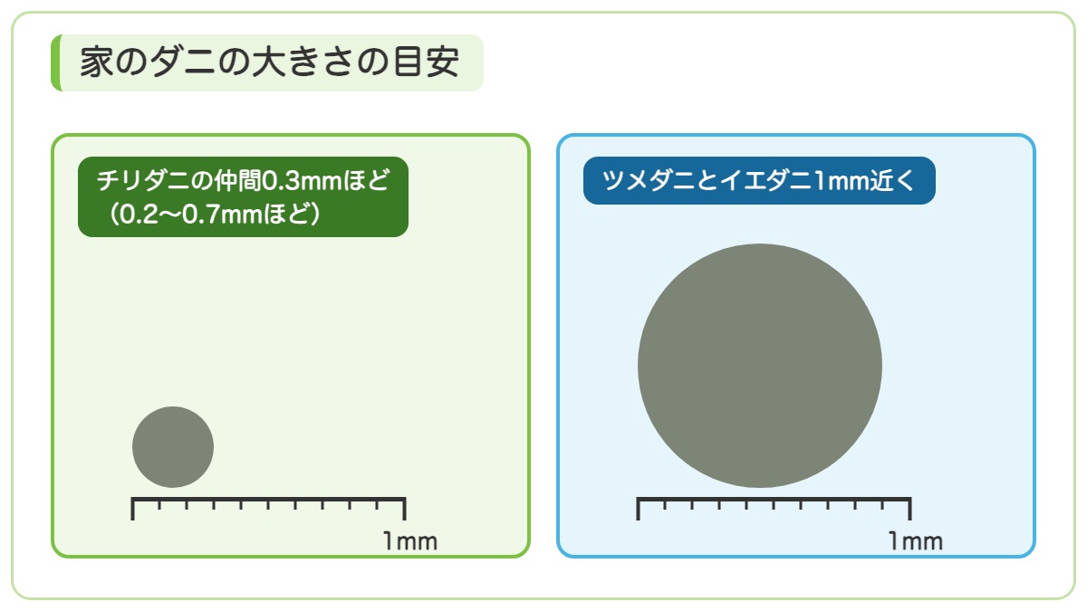 1mmの目盛りの横にチリダニの仲間の0.3mmほどの点とツメダニとイエダニの1mm近くの点を並べた図