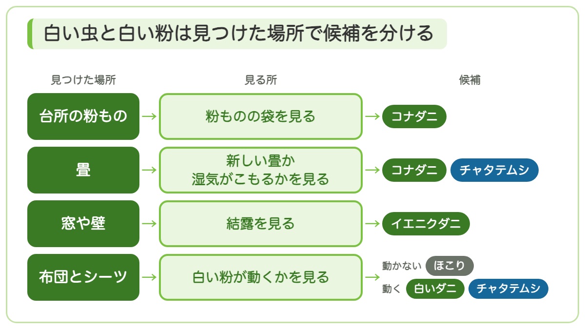 台所の粉もの 畳 窓や壁 布団とシーツの見つけた場所ごとに見る所と白い虫の候補を示す図